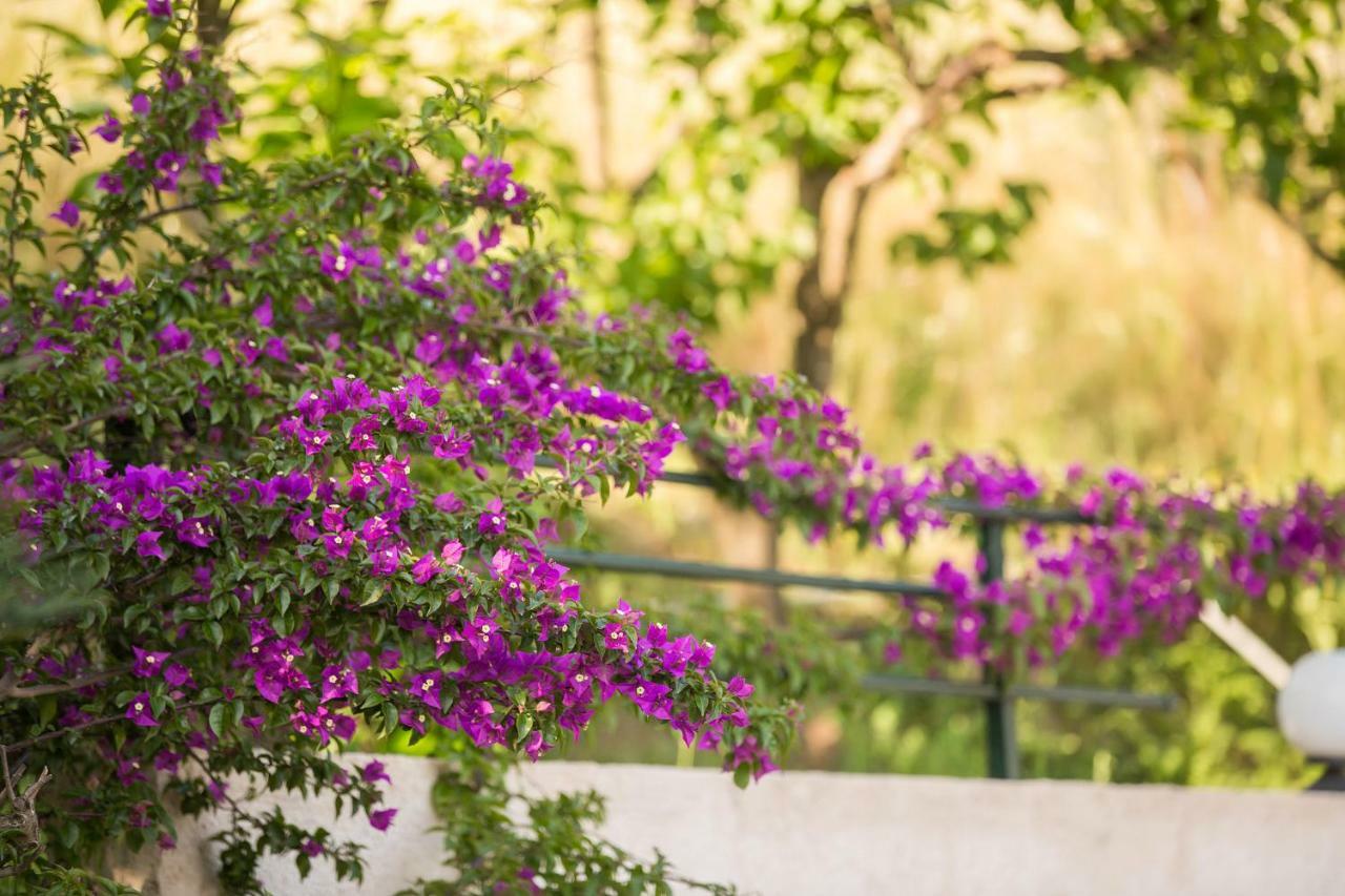 Natural Beauty Spot Ano Garouna Exterior photo